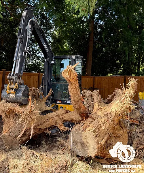 Backyard Paver & Lighting Project